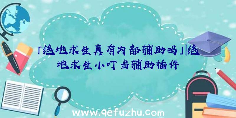 「绝地求生真有内部辅助吗」|绝地求生小叮当辅助插件